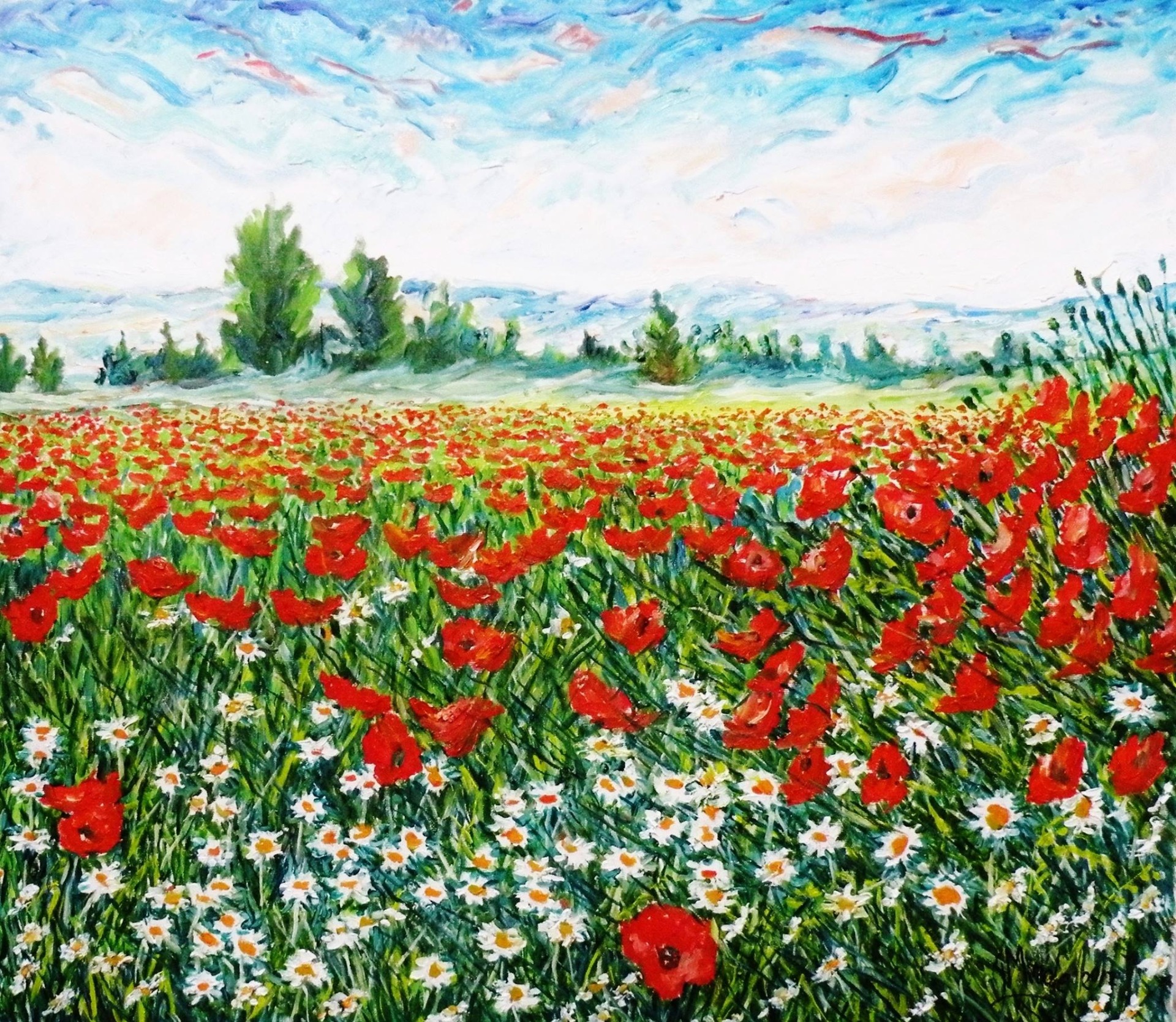 PAPAVERI  E FIORI DI CAMPO - Olio su tela 80 X 70